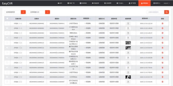 新澳2024大全正版免费资料,安全执行策略_Superior82.74