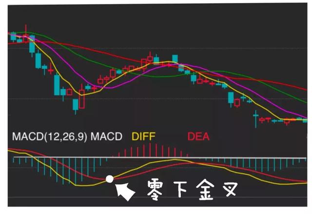 三肖必中三期必出凤凰网2023,最佳精选解释定义_QHD版29.286