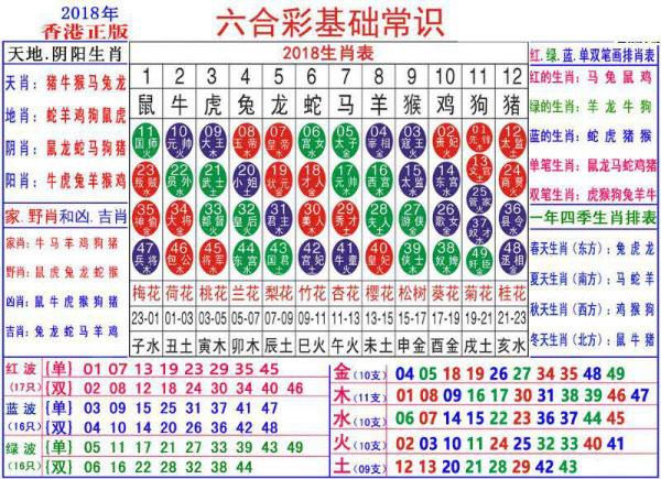 澳门正版资料大全资料生肖卡,实地数据分析计划_体验版52.818