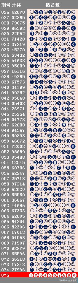 新澳历史开奖最新结果查询今天,迅速设计执行方案_铂金版29.790