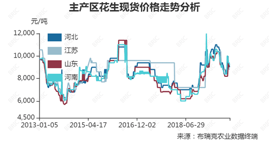 辽宁花生最新价格动态解析与趋势展望